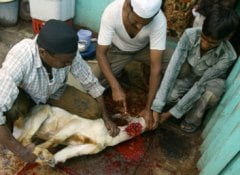 Click to hear Jacqueline Taieb’s ‘Le Fac de Lettres’ with rare 60s footage!