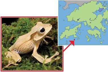 Click to hear the Golliwogs’ ‘Fight Fire’!