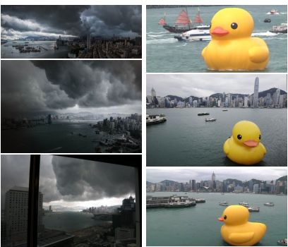 Click to hear ‘I Wanna to be Your Dog’ by the Stooges!