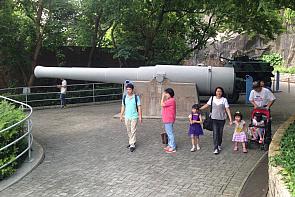 Mus-CD-gun